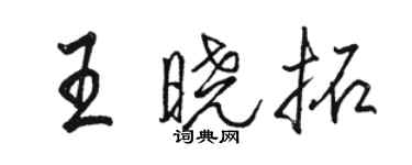 駱恆光王曉拓行書個性簽名怎么寫