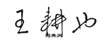 駱恆光王耕也草書個性簽名怎么寫