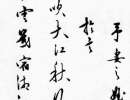 王問草書《自作詩卷》(2)_王問書法作品欣賞