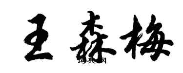 胡問遂王森梅行書個性簽名怎么寫