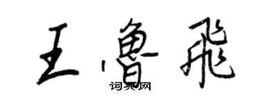 王正良王魯飛行書個性簽名怎么寫