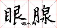 周炳元眼腺楷書怎么寫