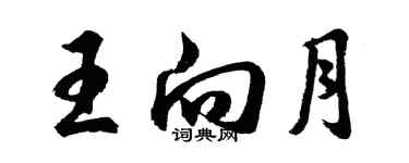 胡問遂王向月行書個性簽名怎么寫