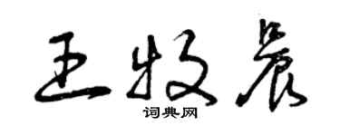 曾慶福王牧晨草書個性簽名怎么寫