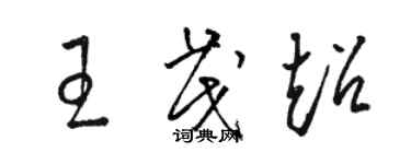 駱恆光王茂超草書個性簽名怎么寫