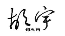 駱恆光胡宇草書個性簽名怎么寫