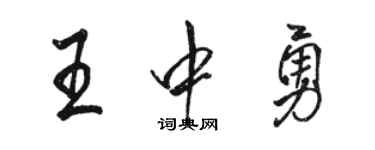 駱恆光王中勇行書個性簽名怎么寫