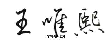 駱恆光王唯熙行書個性簽名怎么寫