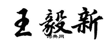 胡問遂王毅新行書個性簽名怎么寫