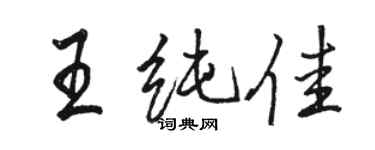 駱恆光王純佳行書個性簽名怎么寫