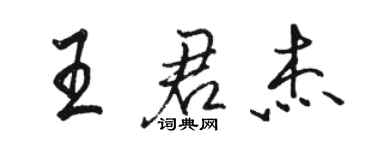 駱恆光王君傑行書個性簽名怎么寫