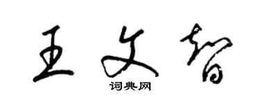 梁錦英王文智草書個性簽名怎么寫