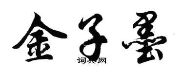 胡問遂金子墨行書個性簽名怎么寫