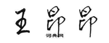 駱恆光王昂昂行書個性簽名怎么寫