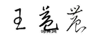 駱恆光王益農草書個性簽名怎么寫