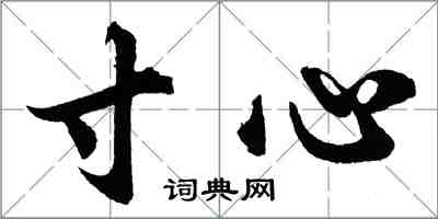 胡問遂寸心行書怎么寫