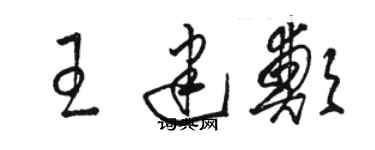 駱恆光王建鄭草書個性簽名怎么寫
