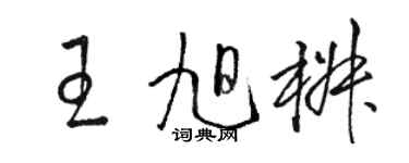 駱恆光王旭椒草書個性簽名怎么寫