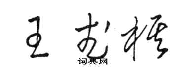 駱恆光王武棋草書個性簽名怎么寫
