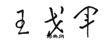 駱恆光王戈軍草書個性簽名怎么寫