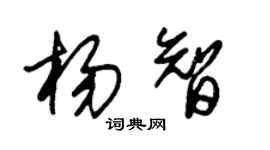 朱錫榮楊智草書個性簽名怎么寫