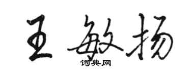 駱恆光王敏揚行書個性簽名怎么寫