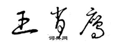 曾慶福王肖鷹草書個性簽名怎么寫