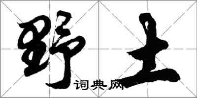 胡問遂野土行書怎么寫