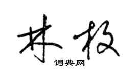 梁錦英林枚草書個性簽名怎么寫