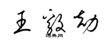 梁錦英王毅劫草書個性簽名怎么寫