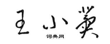駱恆光王小冀草書個性簽名怎么寫