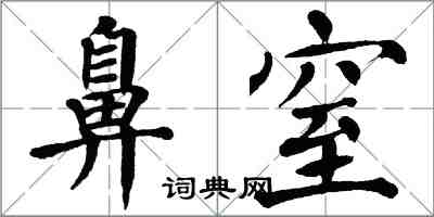 翁闓運鼻窒楷書怎么寫