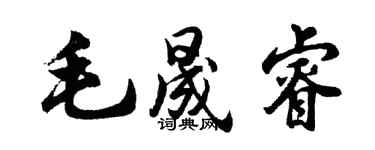 胡問遂毛晟睿行書個性簽名怎么寫