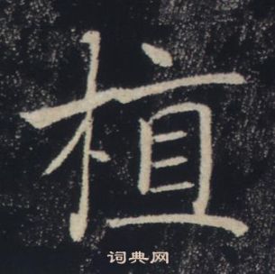 褚遂良在雁塔聖教序中寫的植