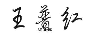 駱恆光王普紅行書個性簽名怎么寫