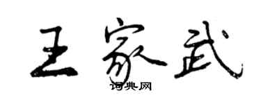 曾慶福王家武行書個性簽名怎么寫