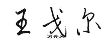 駱恆光王戈爾行書個性簽名怎么寫