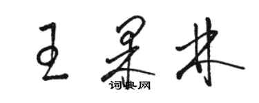 駱恆光王果林草書個性簽名怎么寫