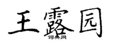 丁謙王露園楷書個性簽名怎么寫