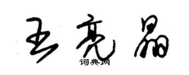 朱錫榮王亮晶草書個性簽名怎么寫