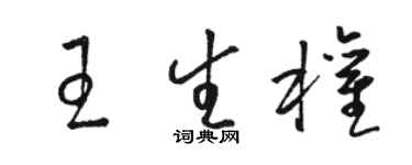 駱恆光王生權草書個性簽名怎么寫