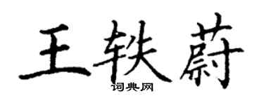 丁謙王軼蔚楷書個性簽名怎么寫