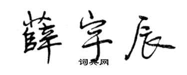 曾慶福薛宇辰行書個性簽名怎么寫