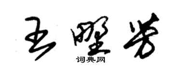 朱錫榮王野芳草書個性簽名怎么寫