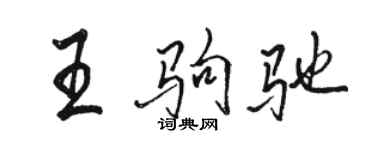 駱恆光王駒馳行書個性簽名怎么寫