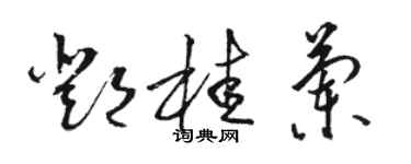 駱恆光鄧桂蘭草書個性簽名怎么寫