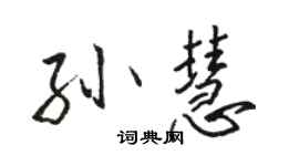 駱恆光孫慧行書個性簽名怎么寫