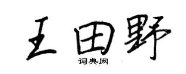 王正良王田野行書個性簽名怎么寫