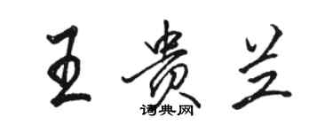 駱恆光王貴蘭行書個性簽名怎么寫