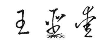 駱恆光王聖愛草書個性簽名怎么寫